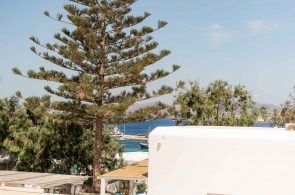 st_double_DSC_4505