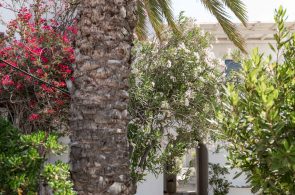 st_double_DSC_5834